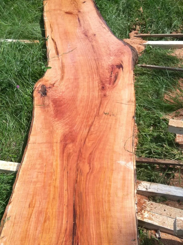 Professional residential landscaping in Georgetown, KY by Good Tree Stewards