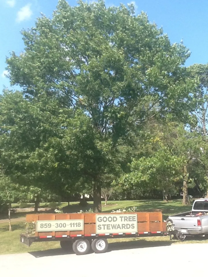 Expert yard maintenance for homes in Georgetown, KY by Good Tree Stewards