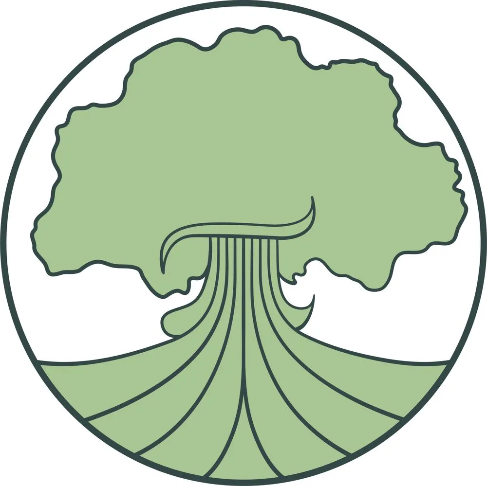 Expert yard maintenance for outdoor upgrades across Georgetown, KY - Good Tree Stewards