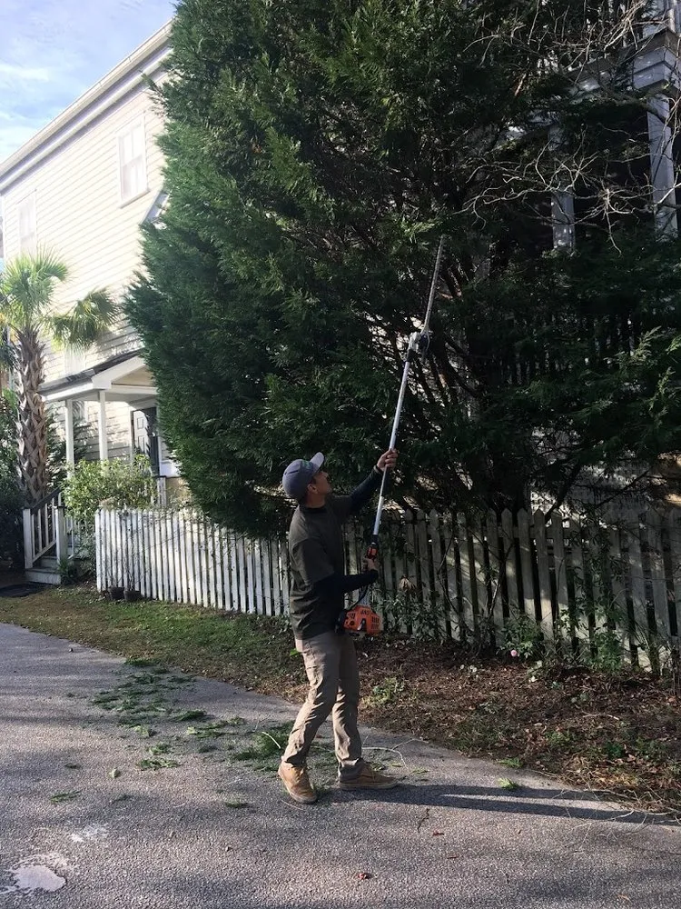 Expert landscape installation experts serving Williamstown, NJ - Good Vibes Planting