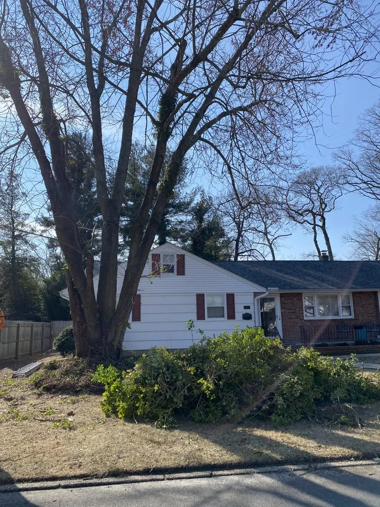 Reliable yard cleanup service for year-round maintenance across Williamstown, NJ - Good Vibes Planting