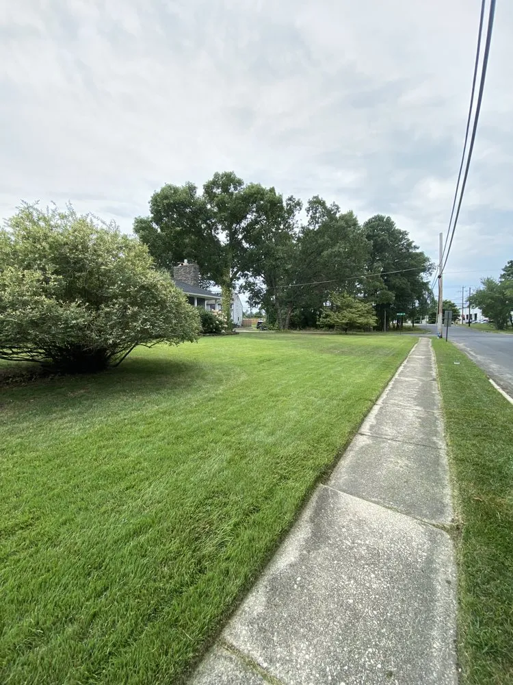 Expert garden landscaping experts serving Williamstown, NJ - Good Vibes Planting