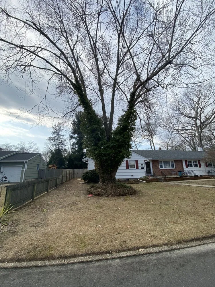 Trusted lawn care service in Williamstown, NJ by Good Vibes Planting