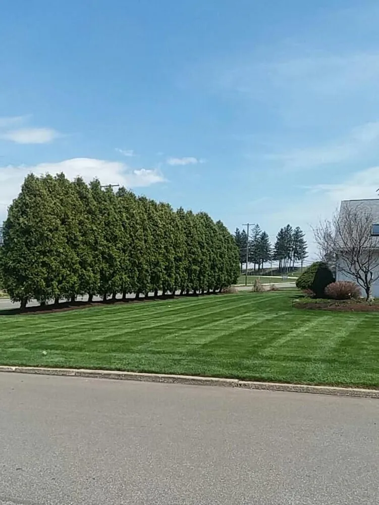 Custom yard cleanup service for beautiful yards across Lucas, OH - Good View Lawn Care