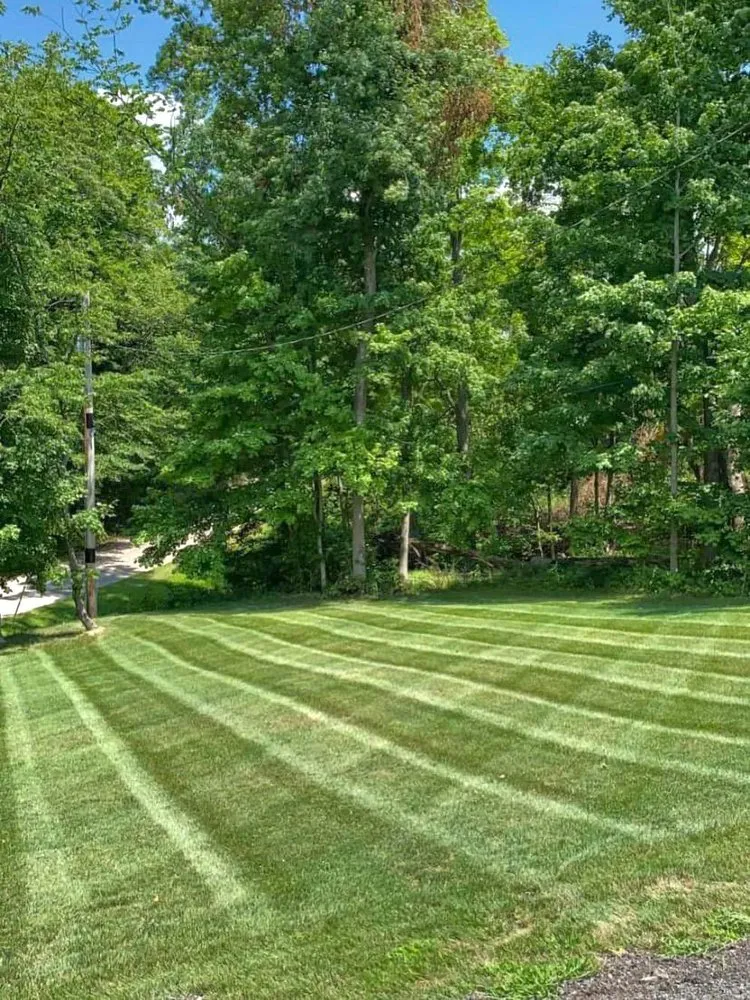 Trusted lawn care service in Lucas, OH by Good View Lawn Care