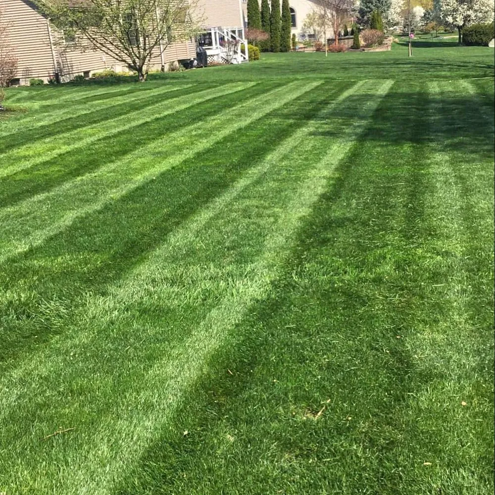 Local residential landscaping experts serving Lucas, OH - Good View Lawn Care