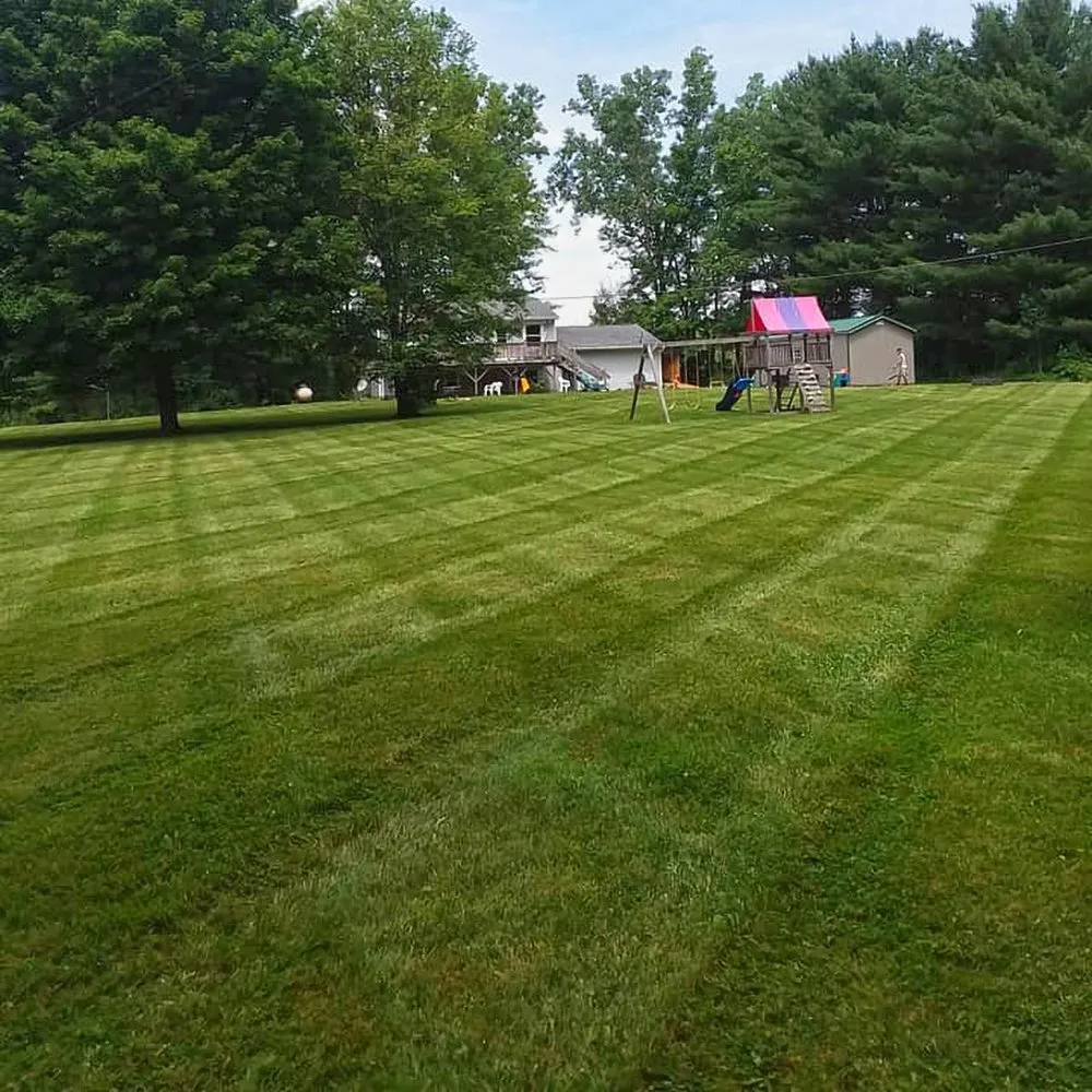 Affordable yard maintenance for outdoor upgrades in Lucas, OH by Good View Lawn Care