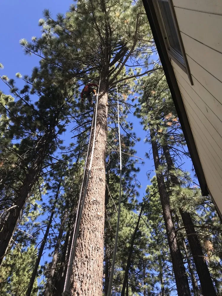 Expert lawn mowing service for year-round maintenance in South Lake Tahoe, CA by Good View Tree Service