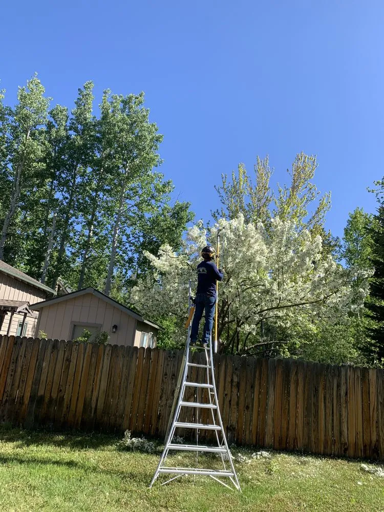 Local landscape design in South Lake Tahoe, CA - Good View Tree Service