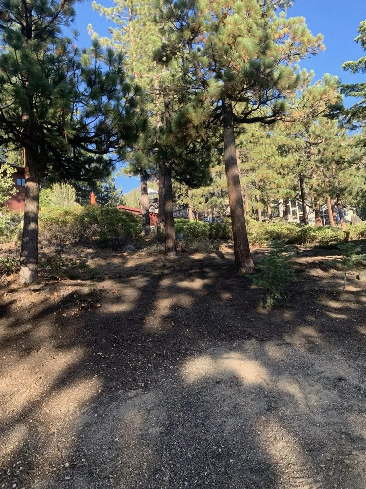 Trusted yard maintenance in South Lake Tahoe, CA - Good View Tree Service