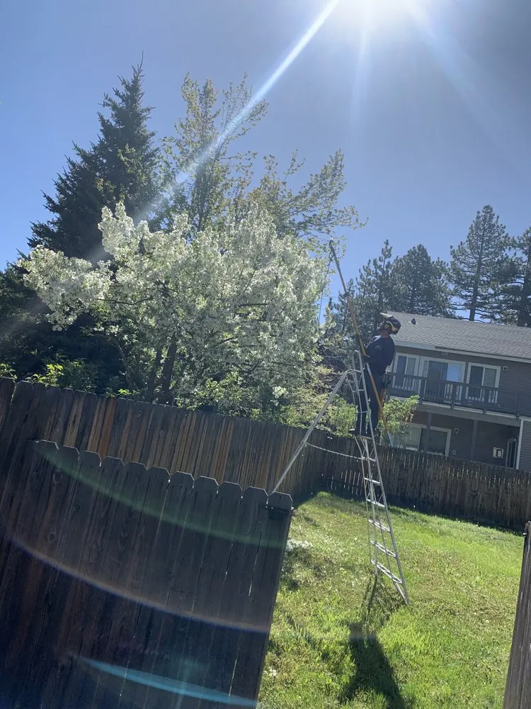 Affordable yard cleanup service for year-round maintenance in South Lake Tahoe, CA by Good View Tree Service