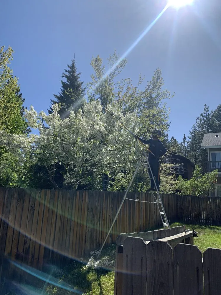 Expert yard cleanup service for beautiful yards across South Lake Tahoe, CA - Good View Tree Service