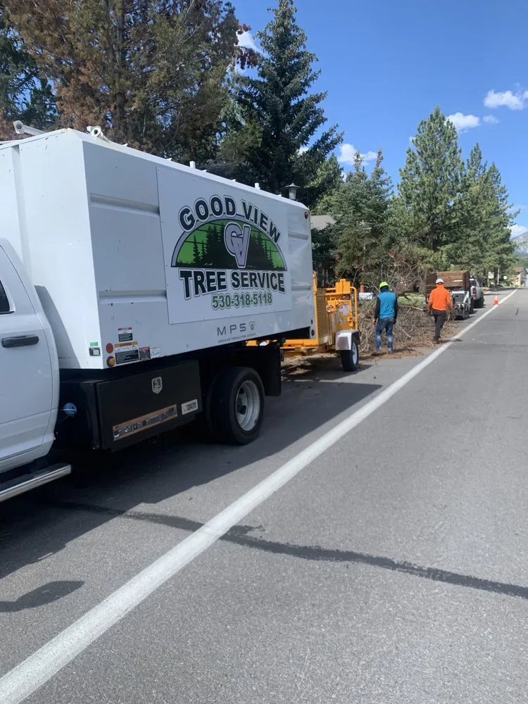 Reliable yard cleanup service for outdoor upgrades in South Lake Tahoe, CA by Good View Tree Service