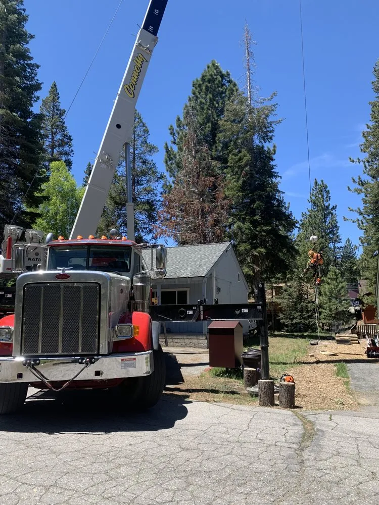 Professional landscape design for homes in South Lake Tahoe, CA by Good View Tree Service
