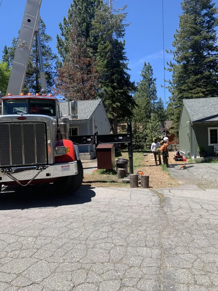 Affordable outdoor landscaping in South Lake Tahoe, CA by Good View Tree Service