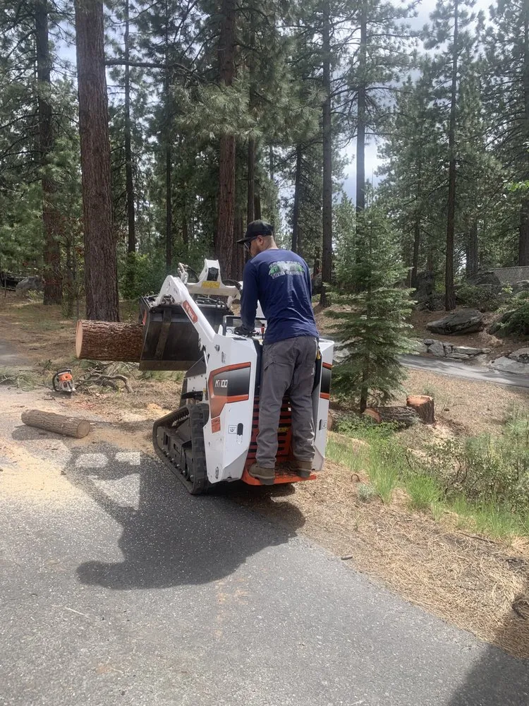 Affordable landscape installation in South Lake Tahoe, CA by Good View Tree Service