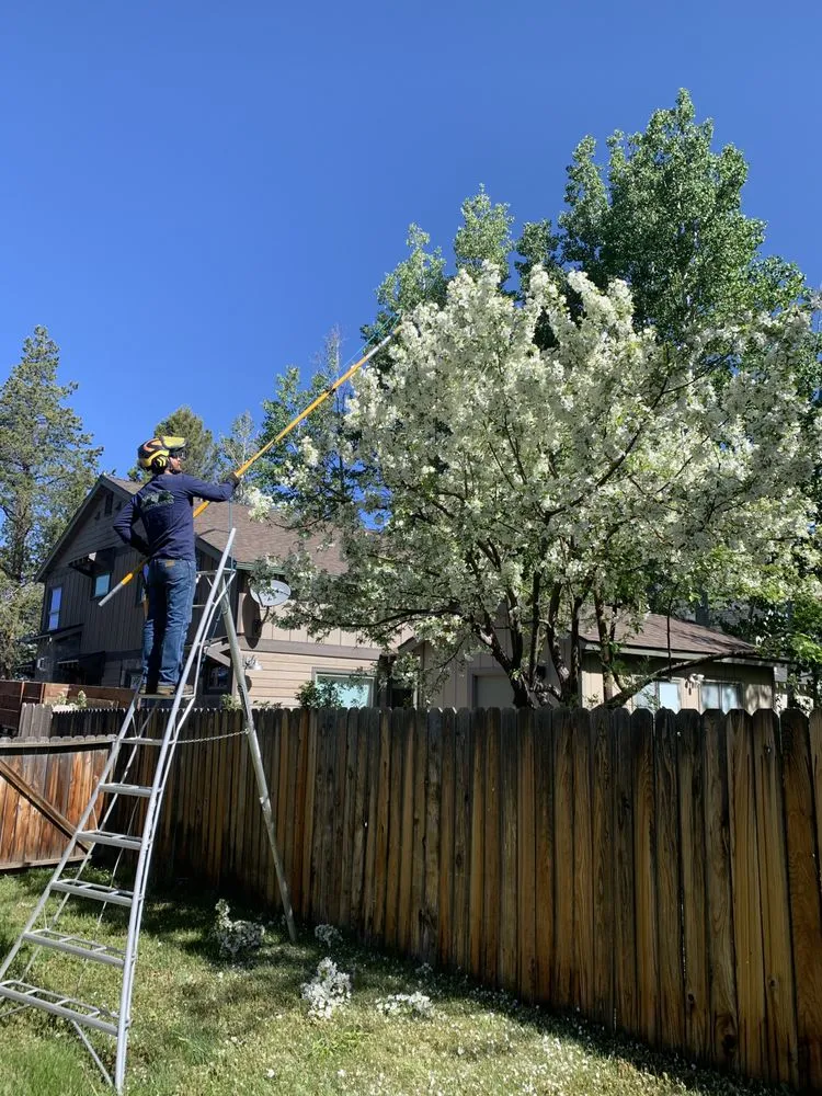 Top-rated residential landscaping in South Lake Tahoe, CA by Good View Tree Service