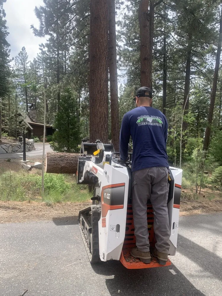Trusted landscaping services in South Lake Tahoe, CA - Good View Tree Service