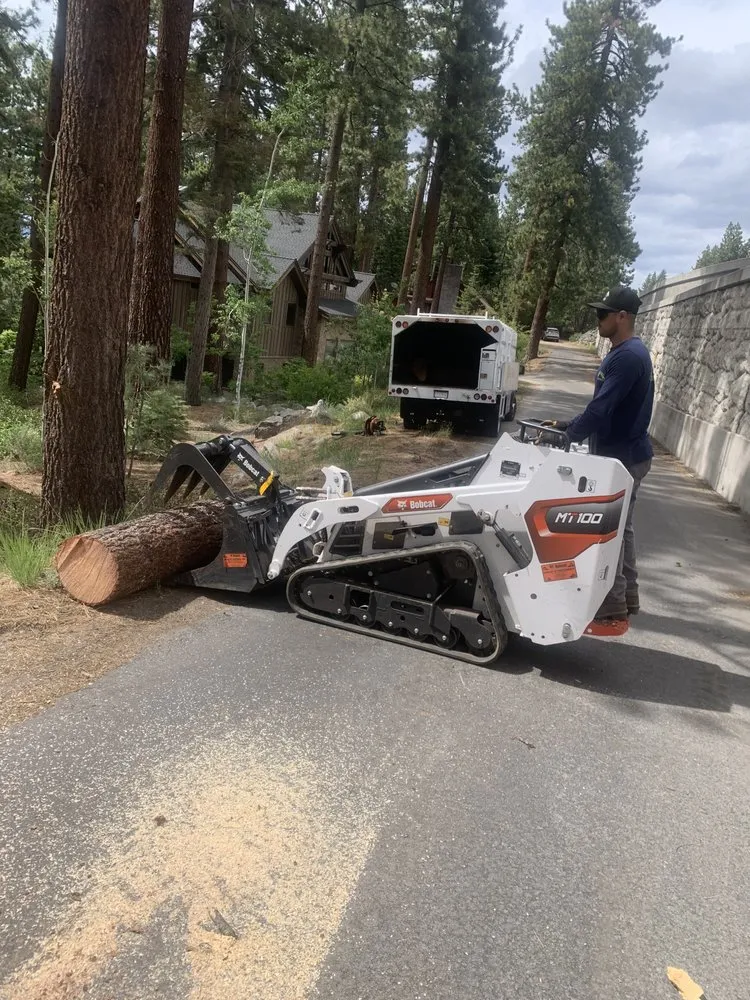 Custom yard maintenance near you across South Lake Tahoe, CA - Good View Tree Service