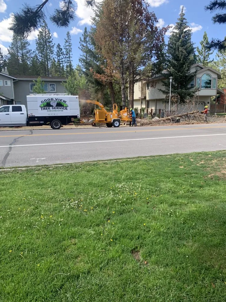 Expert lawn care service for beautiful yards across South Lake Tahoe, CA - Good View Tree Service