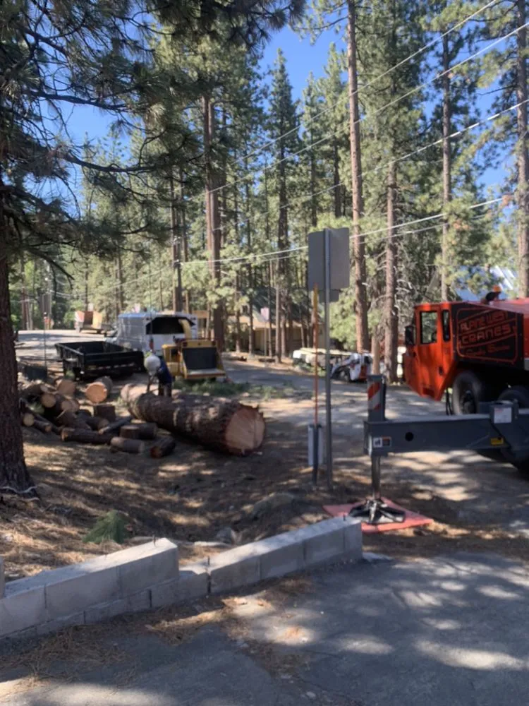 Reliable landscaping services for homes in South Lake Tahoe, CA by Good View Tree Service