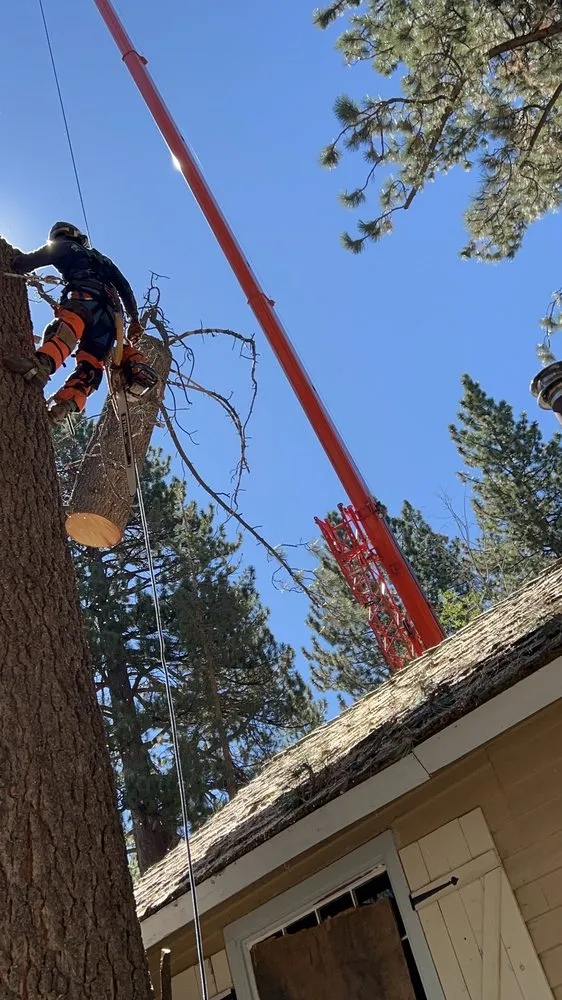 Custom garden landscaping in South Lake Tahoe, CA by Good View Tree Service