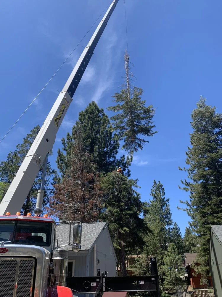 Local garden landscaping in South Lake Tahoe, CA - Good View Tree Service