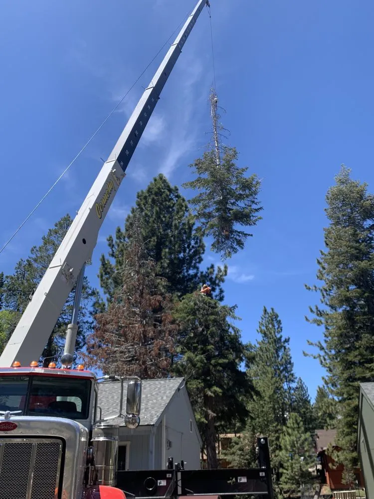 Trusted lawn mowing service for homes in South Lake Tahoe, CA by Good View Tree Service