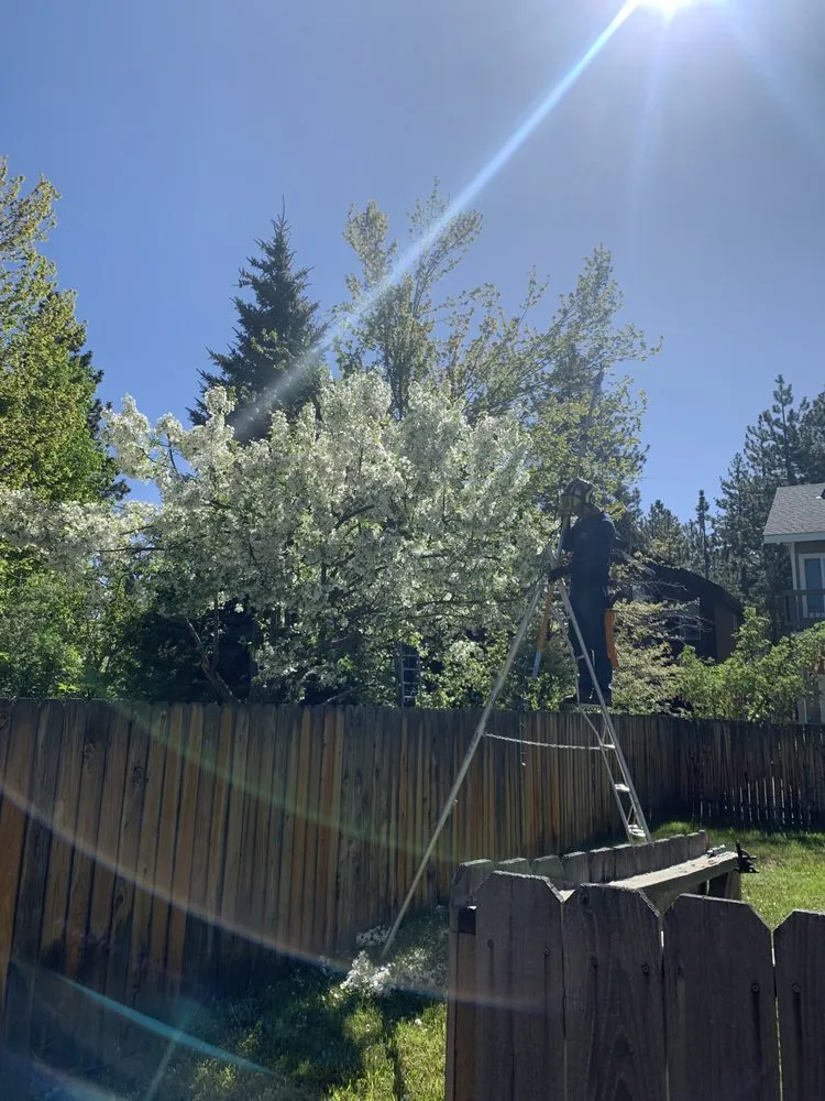 Reliable lawn mowing service in South Lake Tahoe, CA by Good View Tree Service