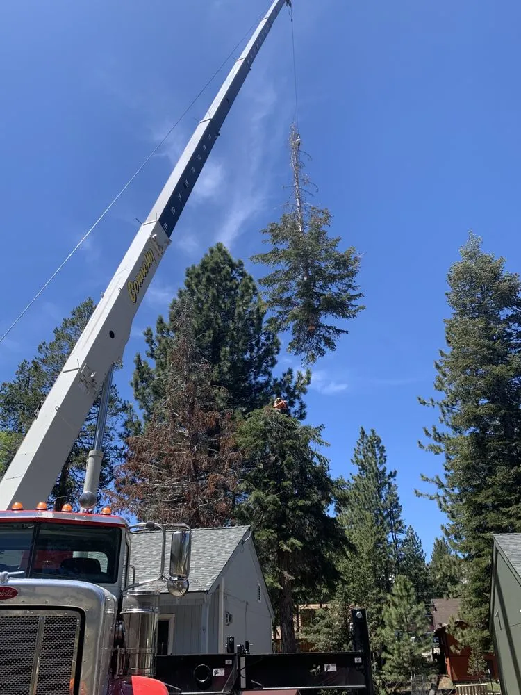 Reliable lawn mowing service experts serving South Lake Tahoe, CA - Good View Tree Service