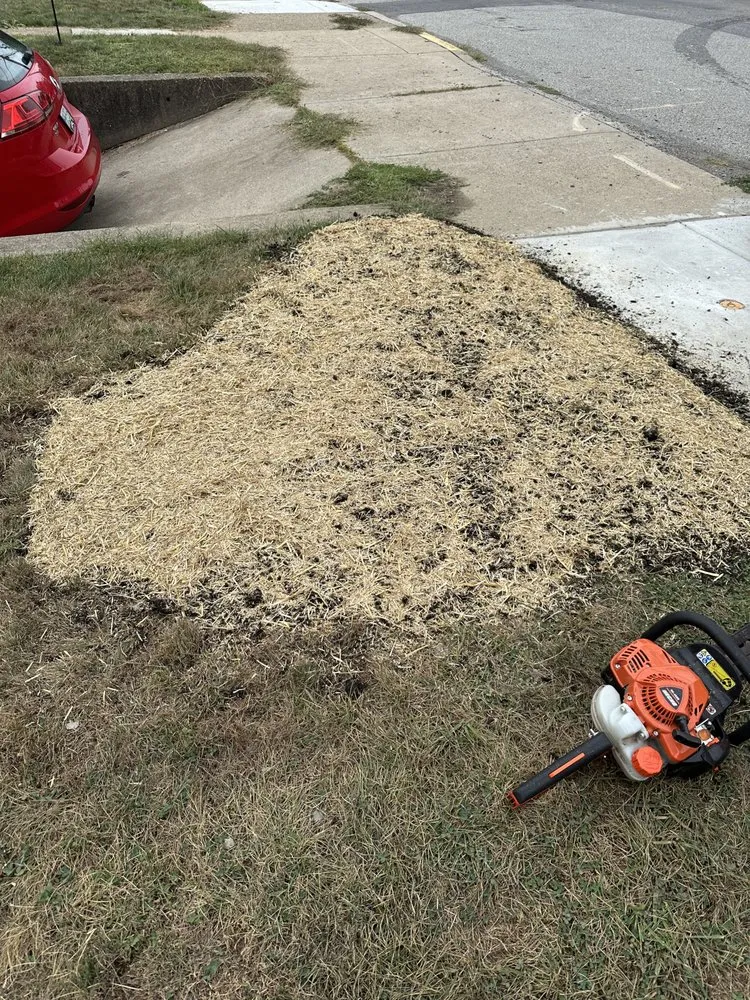 Top-rated yard cleanup service in Pitcairn, PA - Goodalls Lawn Care