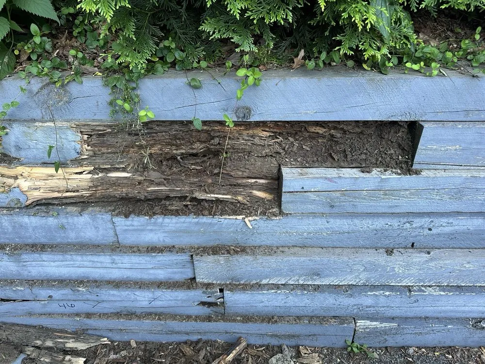 Expert lawn mowing service near you across Pitcairn, PA - Goodalls Lawn Care