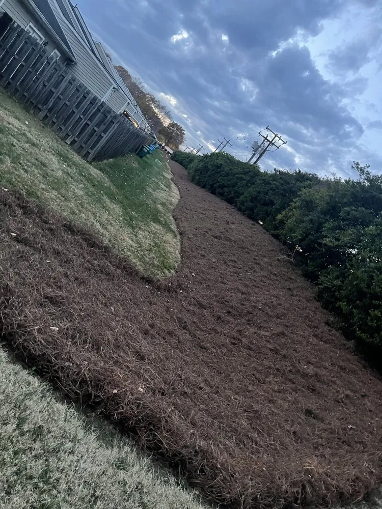 Expert landscape design near you in Wadesboro, NC by GoodDay Landscape