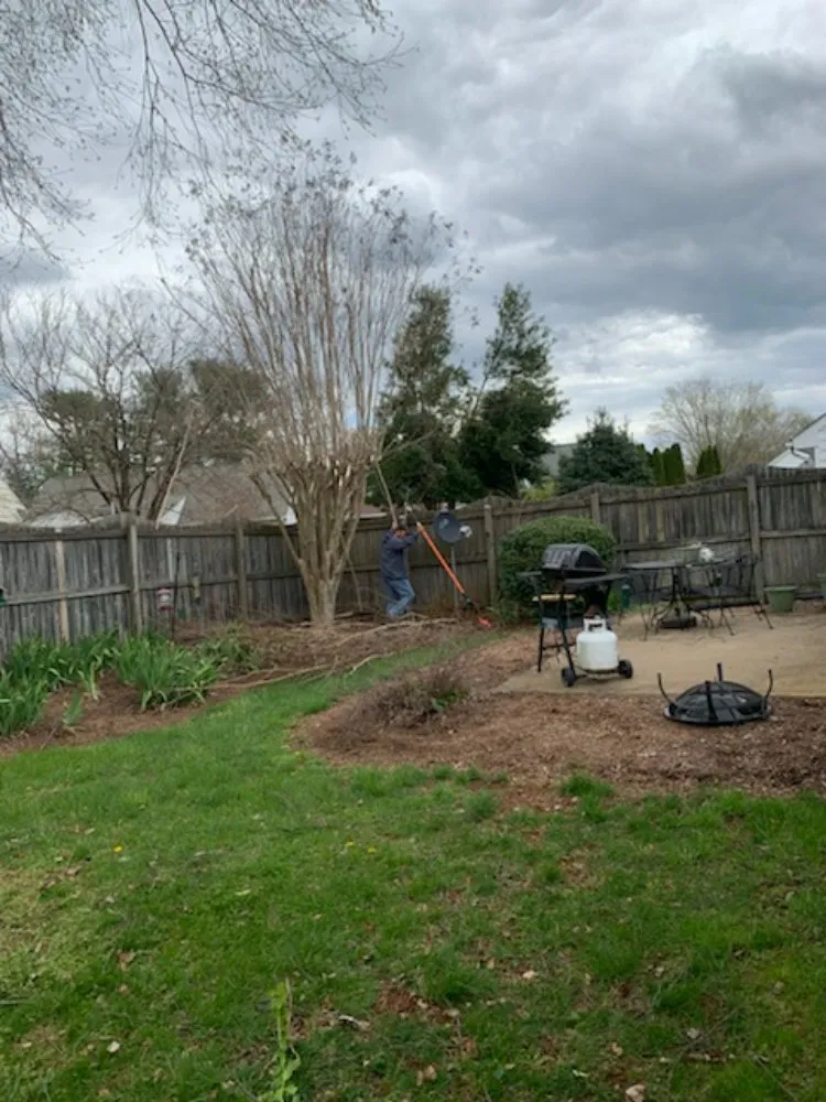 Top-rated yard cleanup service in Rixeyville, VA by Goode Services