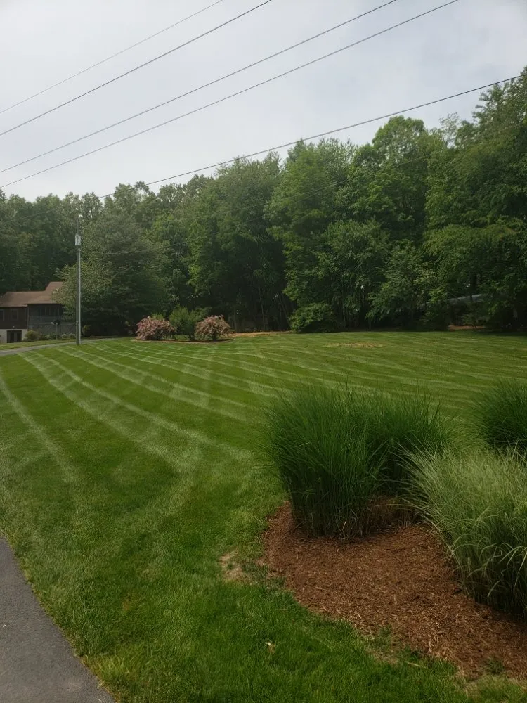 Top-rated outdoor landscaping experts serving Rixeyville, VA - Goode Services