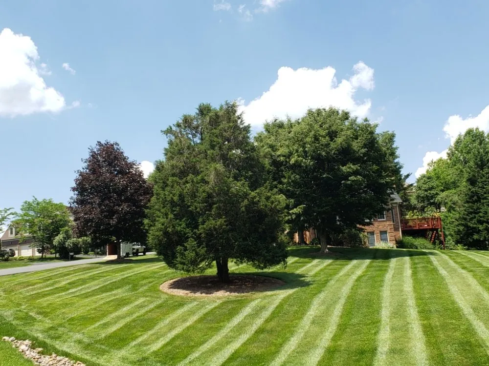 Local landscape design experts serving Rixeyville, VA - Goode Services