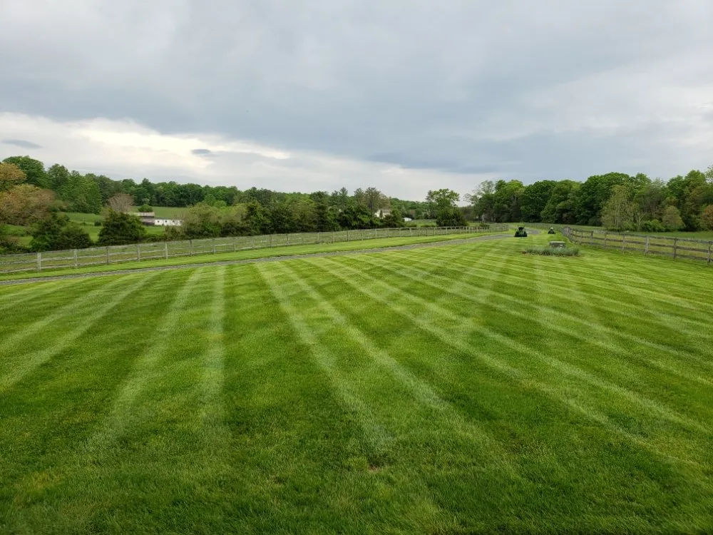 Custom landscaping services in Rixeyville, VA - Goode Services