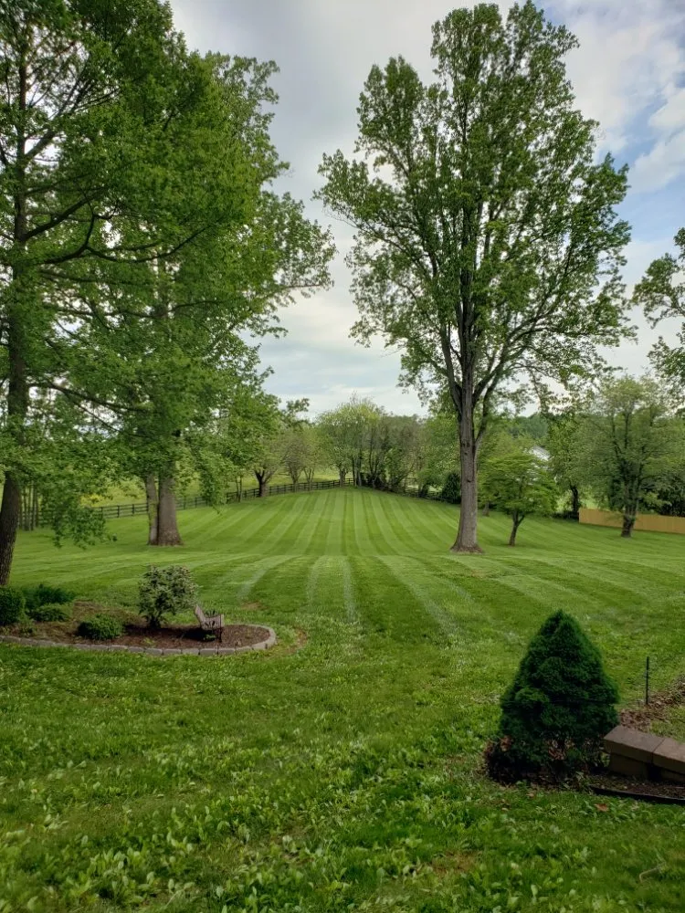 Professional landscape design in Rixeyville, VA by Goode Services