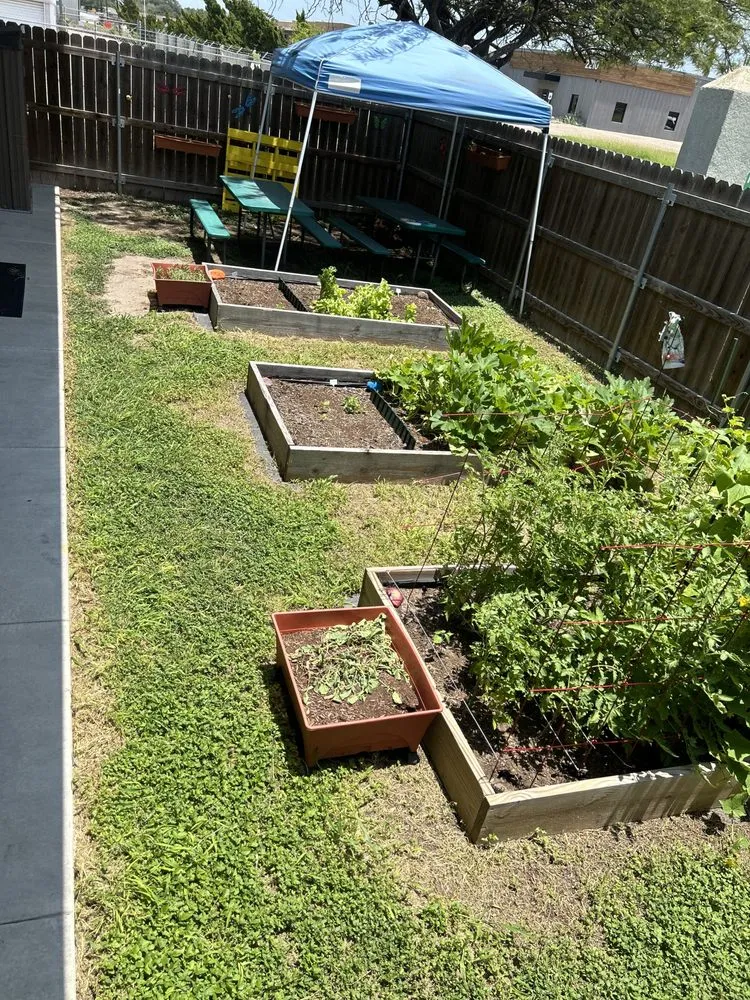 Custom yard maintenance in Corpus Christi, TX - Goodell's Lawn Care