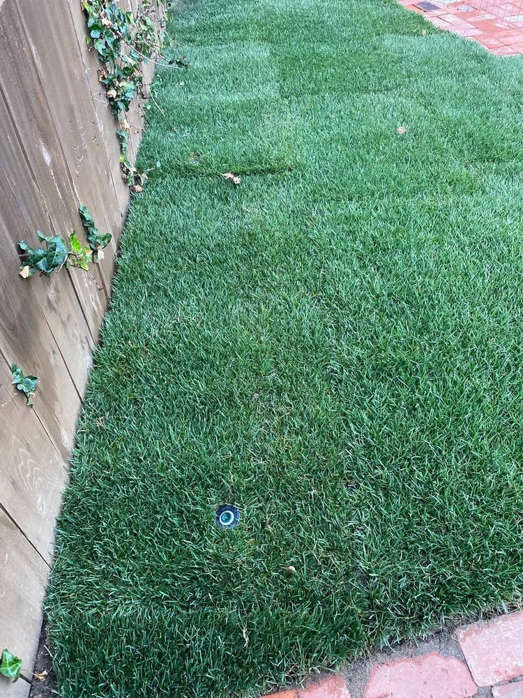 Professional lawn mowing service in Ramona, CA - Gooden's Gardens