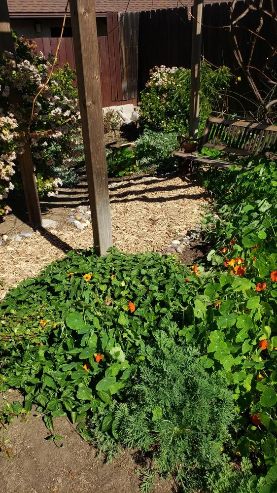 Professional residential landscaping for beautiful yards in Ramona, CA by Gooden's Gardens