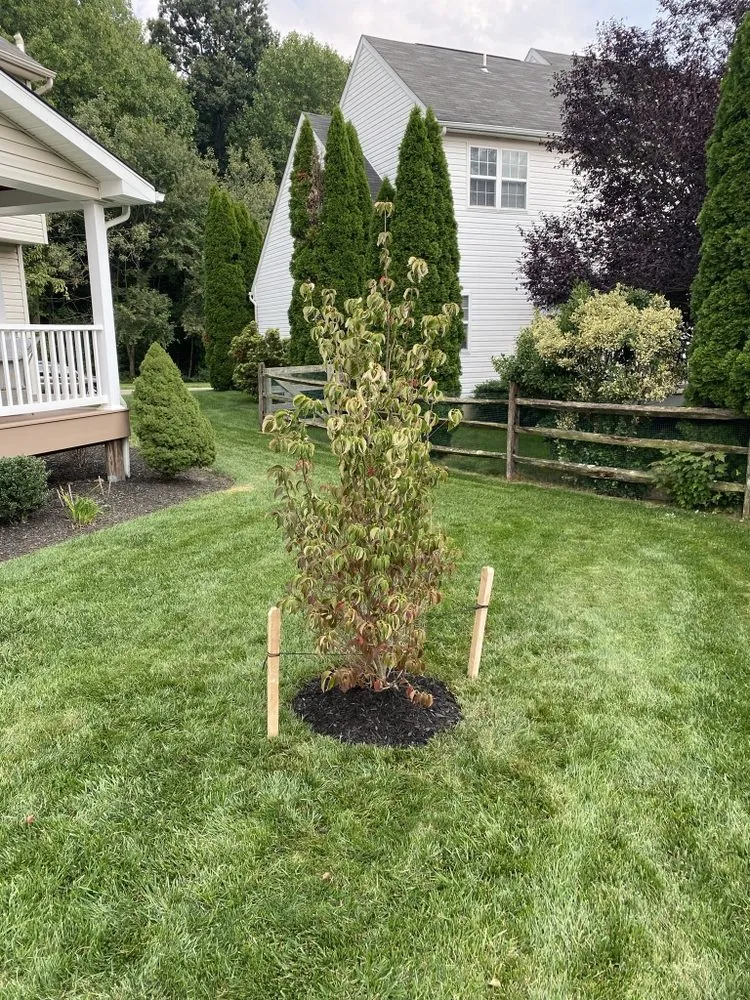 Reliable garden landscaping in Newark, DE - Goodfellas Landscaping