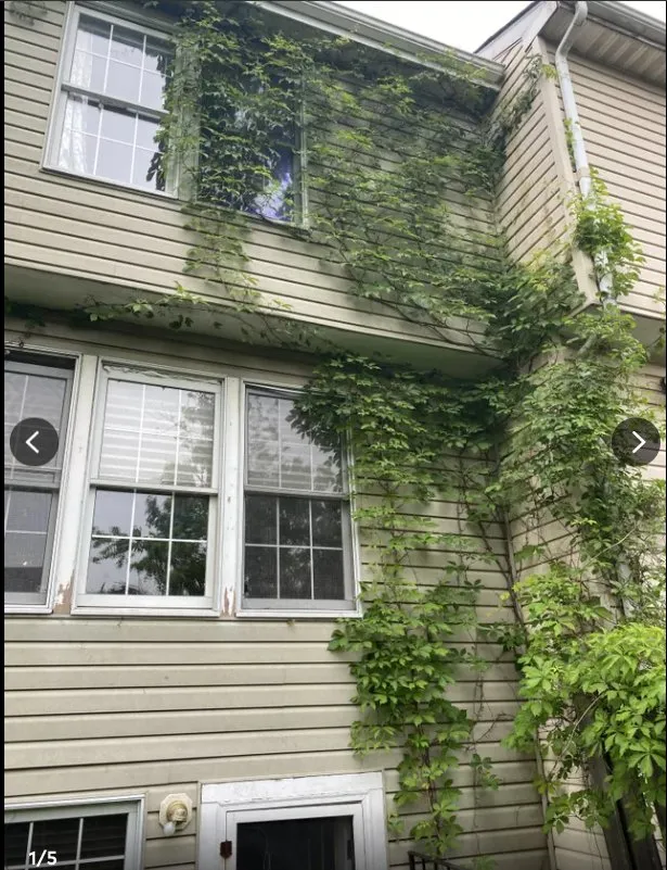 Top-rated landscaping services for homes across Newark, DE - Goodfellas Landscaping