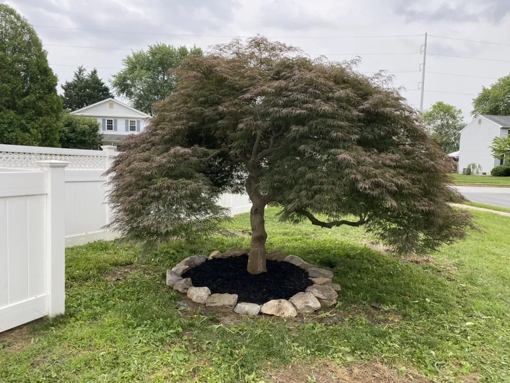 Trusted lawn care service for year-round maintenance in Newark, DE by Goodfellas Landscaping