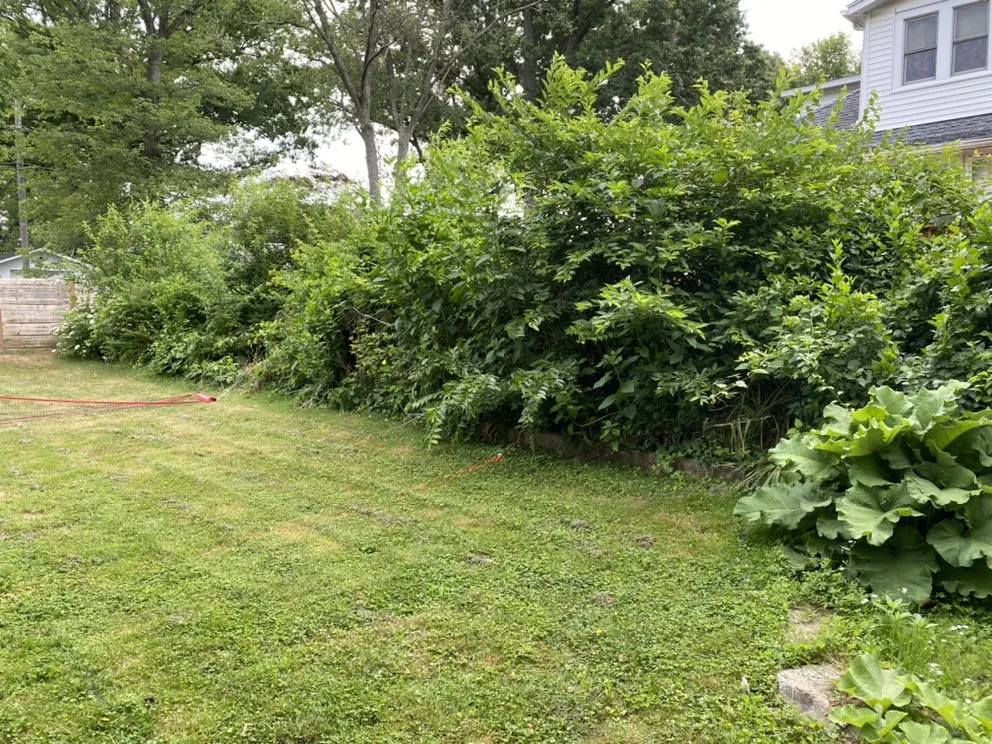 Custom lawn care service for beautiful yards across Newark, DE - Goodfellas Landscaping