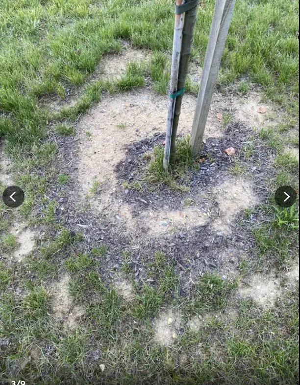 Local outdoor landscaping experts serving Newark, DE - Goodfellas Landscaping