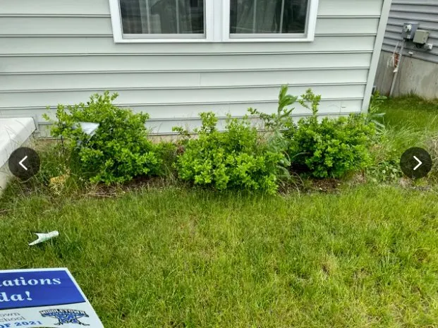 Top-rated yard maintenance in Newark, DE - Goodfellas Landscaping