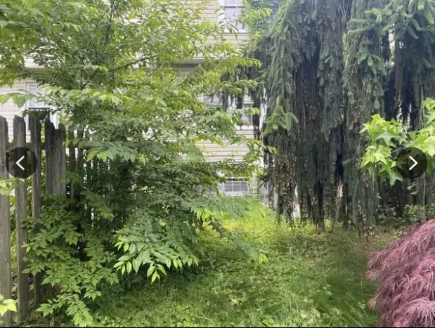 Custom yard maintenance for homes in Newark, DE by Goodfellas Landscaping