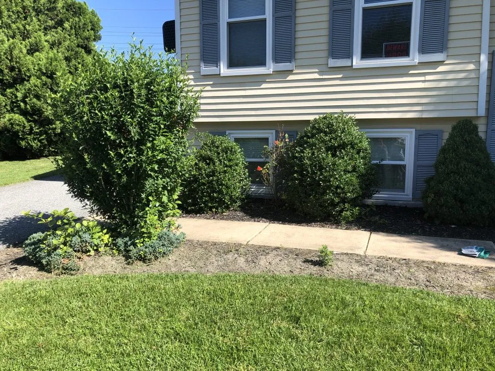 Professional residential landscaping experts serving Newark, DE - Goodfellas Landscaping