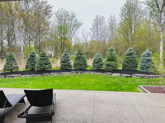 Goodfellas lawn care and plowing Logo